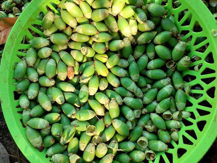 Loại quả xưa chỉ vứt đi, nay làm thành đặc sản miền Tây phải đặt trước mới có hàng - 2