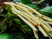 Xem ăn chơi - Đặc sản nổi tiếng không đâu sánh bằng, du khách muốn thưởng thức chỉ có thể đến nơi này