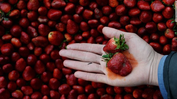 Những loại rau củ quả amp;#34;bẩnamp;#34; và sạch nhất, có loại người Việt ăn không hề ít - 4