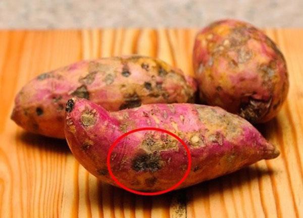 Trời lạnh ăn cháo ấm người nhưng đừng cho thêm 4 thứ này kẻo chỉ hại người, ung thư - 2