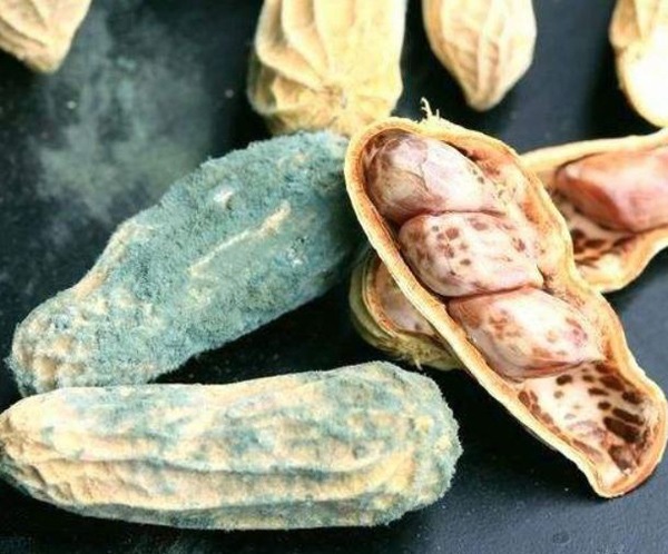 Trời lạnh ăn cháo ấm người nhưng đừng cho thêm 4 thứ này kẻo chỉ hại người, ung thư - 3