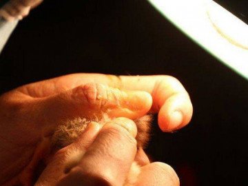  Nghề lạ: Chỉ ngồi cả ngày kiếm 60 triệu/tháng nhưng vẫn thiếu người làm 