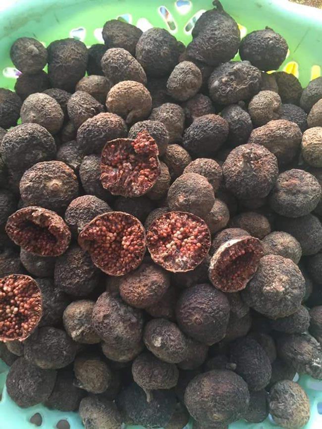 Ngoài sung thái lát còn có sung sấy nguyên quả, có thể ngâm rượu để làm thuốc