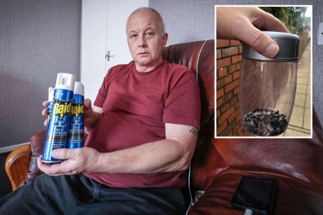 Nhà bị ruồi bu mãi không hết, người đàn ông bàng hoàng khi lên tầng trên kiểm tra - 1