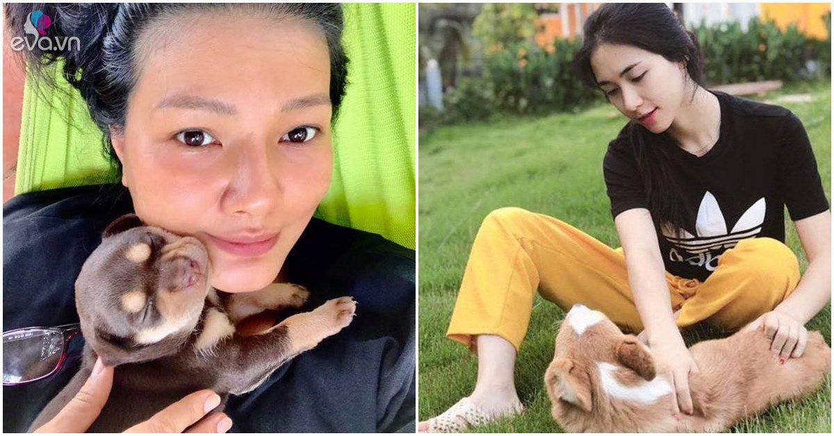 View - Xem thú cưng như người thân, Kiều Trinh thương yêu, Hòa Minzy bảo vệ hết mực