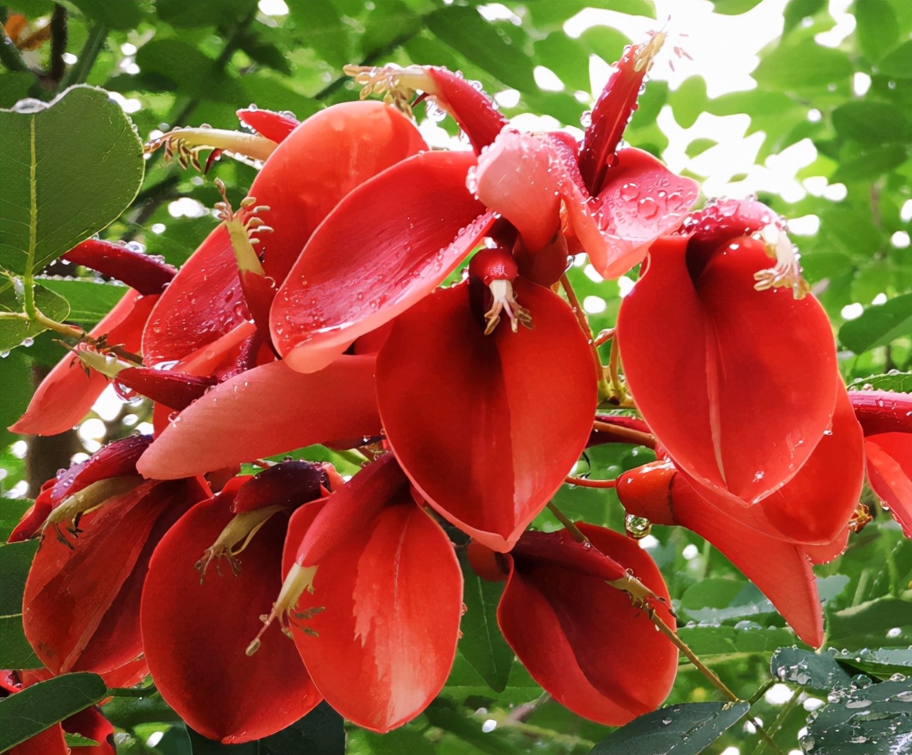 Người sinh vào những ngày này làm gì cũng giỏi, đi đâu cũng có quý nhân - 4