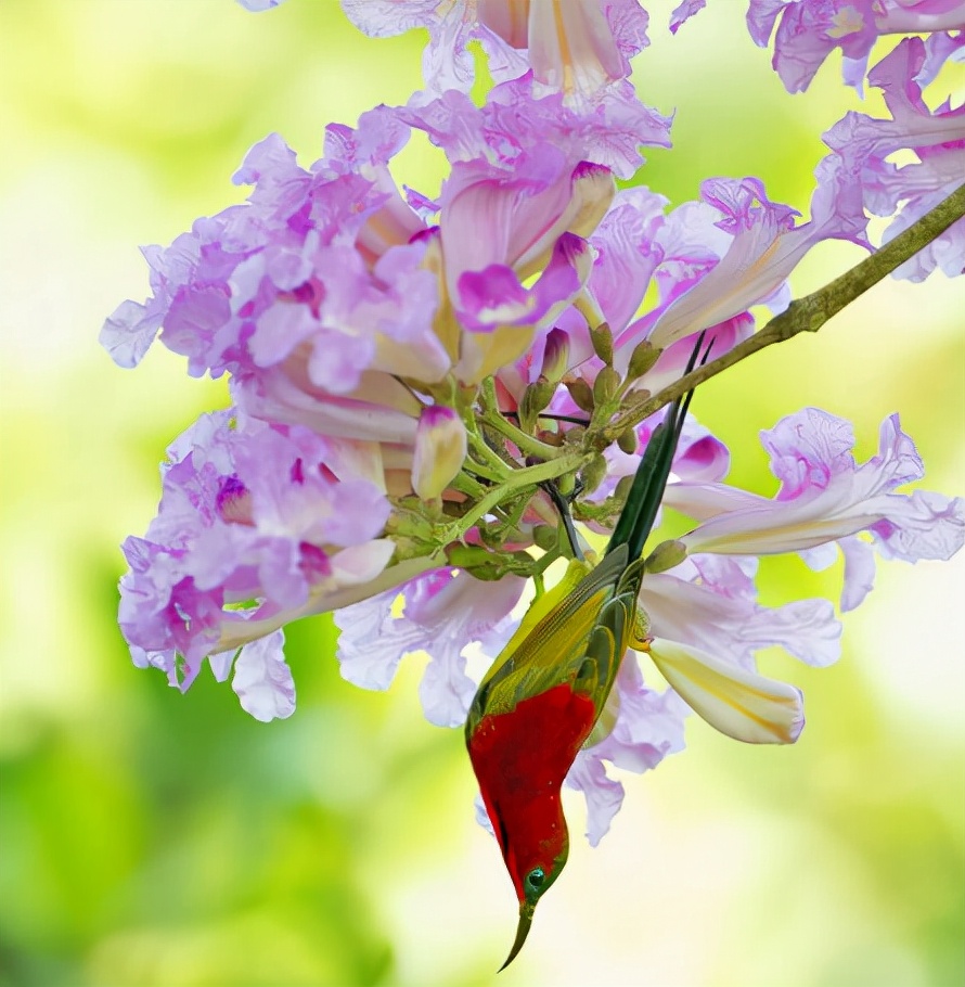 Người sinh vào những ngày này làm gì cũng giỏi, đi đâu cũng có quý nhân - 1