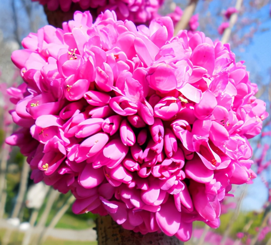 Người sinh vào những ngày này làm gì cũng giỏi, đi đâu cũng có quý nhân - 2