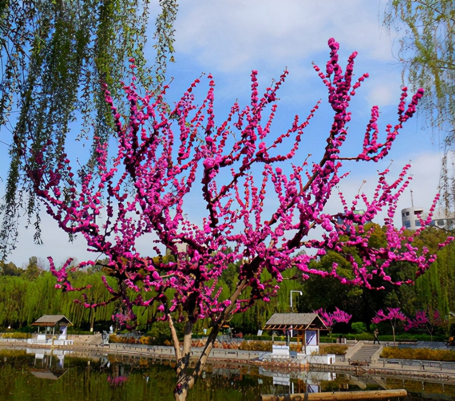 Người sinh vào những ngày này làm gì cũng giỏi, đi đâu cũng có quý nhân - 3