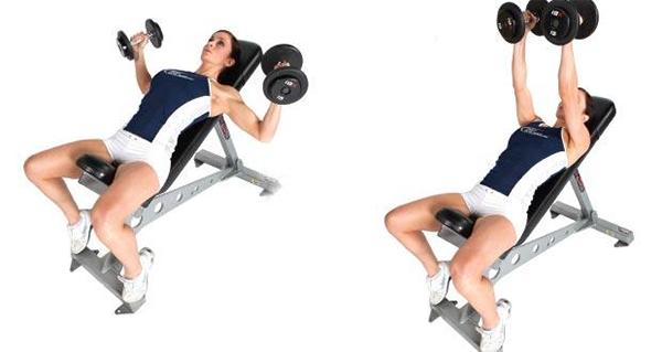 Tập Gym: Hướng dẫn cách tập gym, lịch tập và chế độ ăn uống khoa học - 6