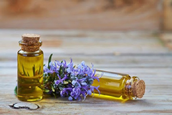 Cách đuổi muỗi trong phòng tự nhiên, hiệu quả mà vô cùng đơn giản - 1
