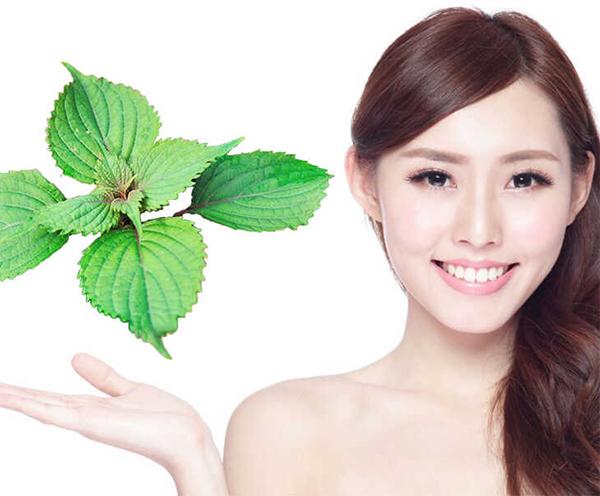 28 Mặt nạ trị mụn tốt nhất từ nguyên liệu tự nhiên an toàn và hiệu quả - 17