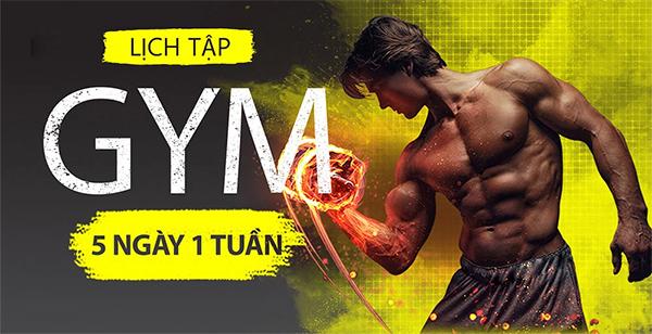 Tập Gym: Hướng dẫn cách tập gym, lịch tập và chế độ ăn uống khoa học - 2