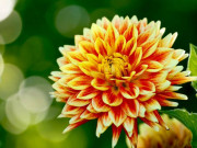 Eva tám - Trắc nghiệm tâm lý: 5 năm sau, bạn là ai?