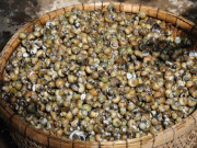 Xem ăn chơi - Đặc sản nổi tiếng Tiền Giang, bé tí ti nhưng thưởng thức một lần sẽ "chết mê chết mệt"