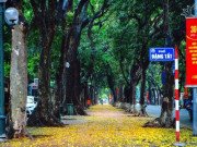 Xem ăn chơi - Hà Nội đẹp đến nao lòng mùa lá rụng