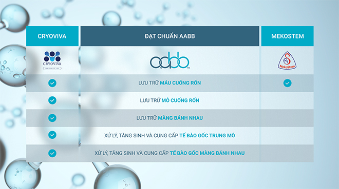 Tiêu chuẩn AABB trong lưu trữ và điều trị bằng tế bào gốc - 3