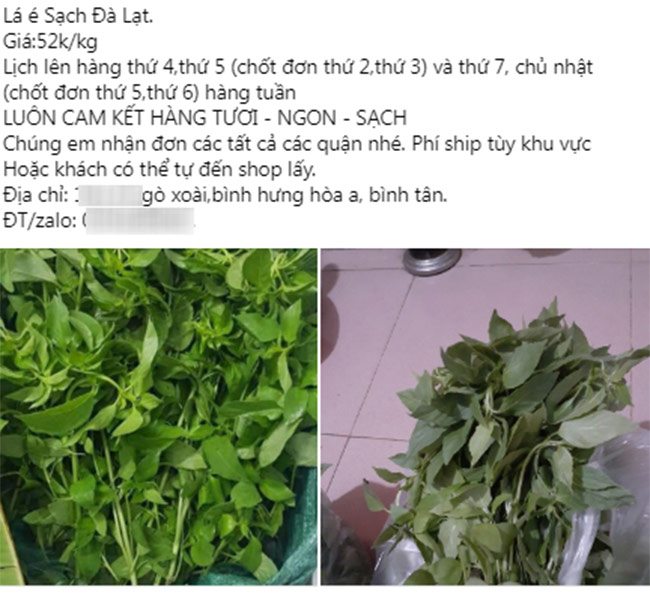 Rau é khȏng ᵭể ᵭược lȃu nên phải ᵭặt trước mới có hàng