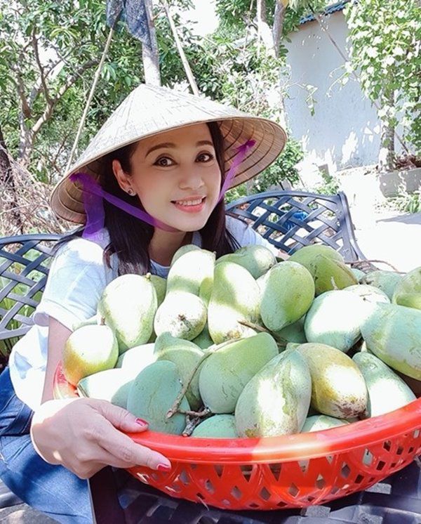 Sau dịch Việt Trinh trở về biệt thự ở Bình Dương, thu hoạch 1 sân đầy hoa quả - 1