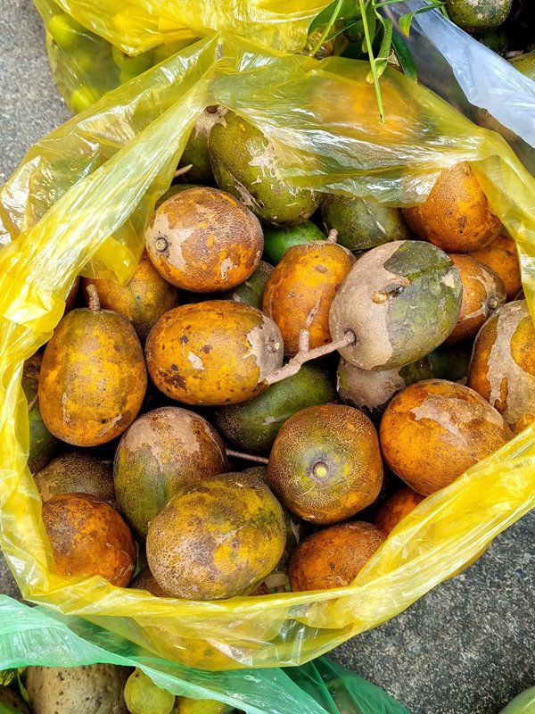 Sau dịch Việt Trinh trở về biệt thự ở Bình Dương, thu hoạch 1 sân đầy hoa quả - 5