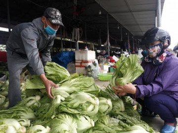                               Giá rau xanh tăng phát sợ, dân nhà giàu Hải Phòng đi chợ cũng chẳng dám mua thêm 