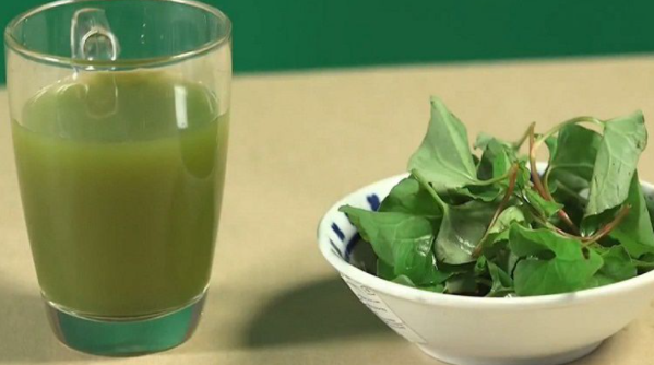 Ăn hoặc uống trực tiếp rau diếp cá