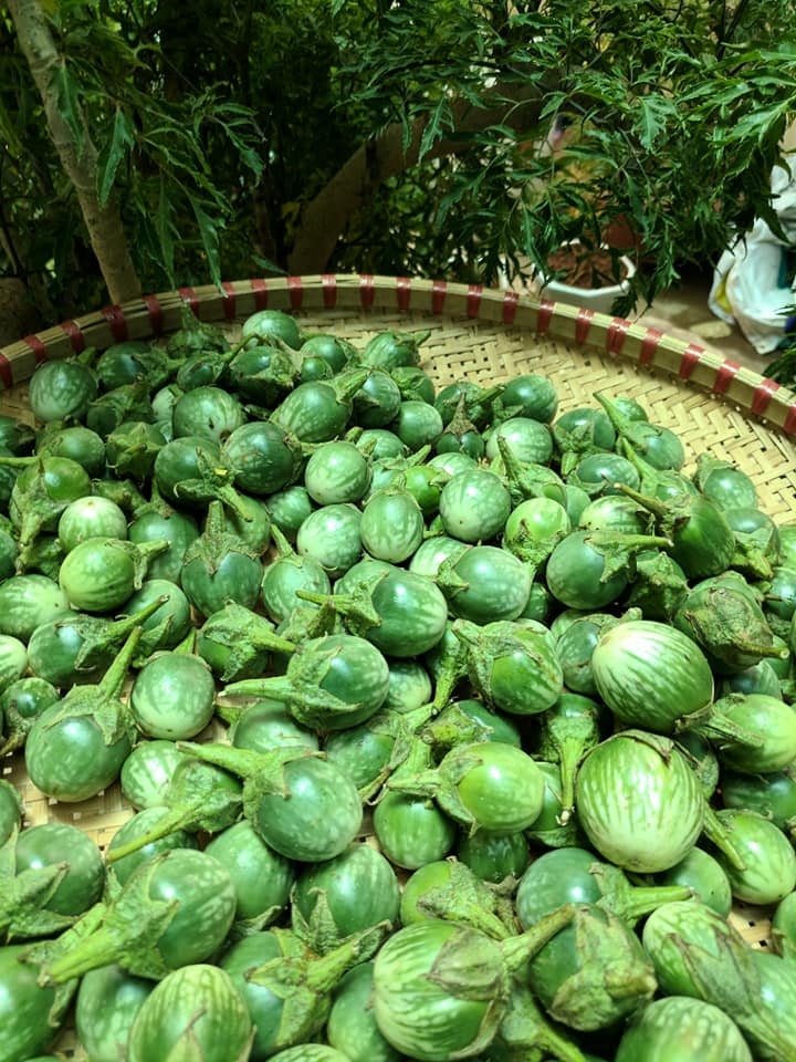 Loại quả mọc dại không ai hái, nay trồng thành vườn bán cho nhà hàng không xuể - 2