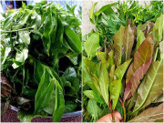 Tiêu dùng - Loại cây hoang dại xưa vứt đi, nay thành đặc sản 180.000đồng/kg, có mặt trong nhiều món ăn nổi tiếng