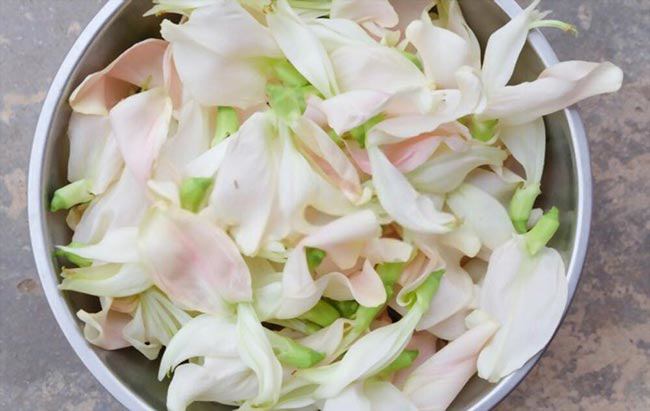 Bông so đũa được xem là một thức rau đặc sản của người dân miền Tây.