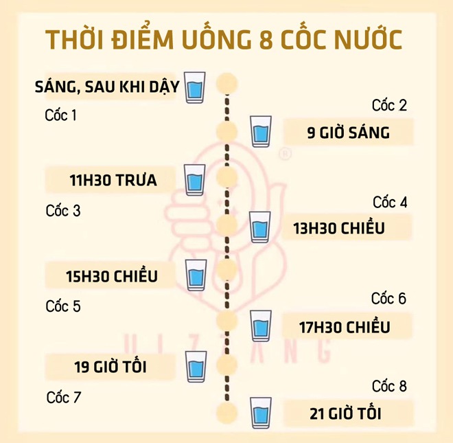 Một ngày uống 8 cốc nước giúp giảm cân, giải độc nhưng uống vào những lúc nào tốt nhất? - 2