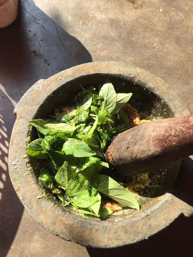 Loại lá trước cho không ai lấy, rụng vứt đi, giờ là đặc sản 80.000đồng/kg, làm nhiều món lạ miệng - 4