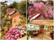 Nhà đẹp - Mẹ Sài Gòn lên Đà Lạt xây nhà cổ tích ở lưng chừng đồi, hoa phủ kín đẹp nao lòng