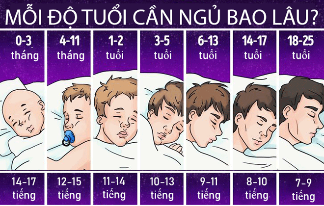 Không phải nhân sâm, tổ yến, đây mới là 3 loại “thuốc trường sinh” tốt nhất trên thế giới - 2