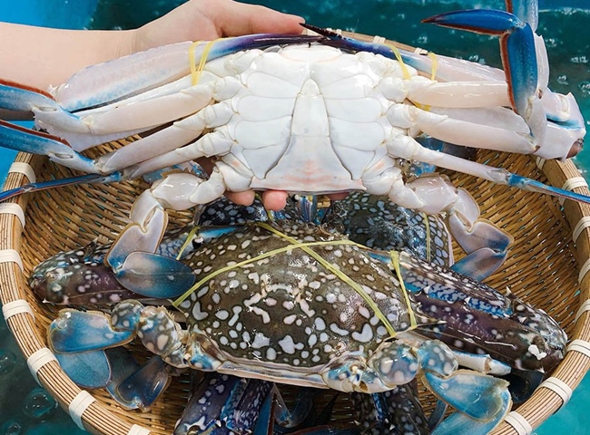 Cách làm ghẹ hấp sả, bia, nước dừa ngon và cách ăn - 1