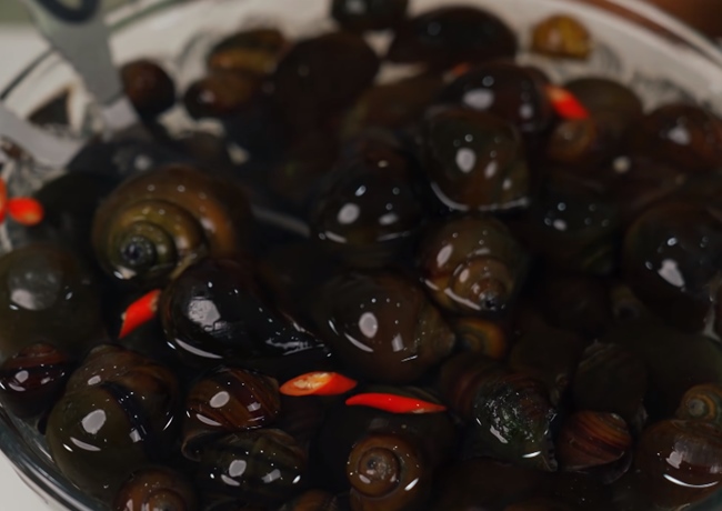 Ngâm ốc khoảng 3 tiếng để nhả hết chất bẩn