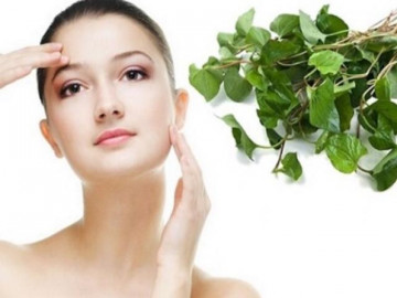 9 Cách trị mụn bằng rau diếp cá tại nhà an toàn không tốn kém
