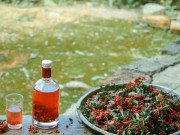 Xem ăn chơi - Làng cổ Thiên Hương hơn 100 năm tuổi đẹp như tranh vẽ ở Đồng Văn, Hà Giang