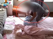Tin tức - Thấy ánh sáng lạ trên nóc tủ phòng trọ, cặp vợ chồng hốt hoảng khi trèo lên kiểm tra
