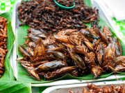 Tiêu dùng - Loài ghê sợ nhưng là đặc sản "hiếm có khó tìm" ở Việt Nam, giá đắt vẫn được săn lùng
