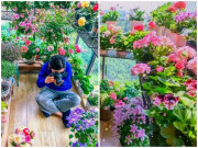 Nhà đẹp - Ngất ngây với ban công bé xíu tràn ngập cây cảnh, muôn hoa khoe sắc