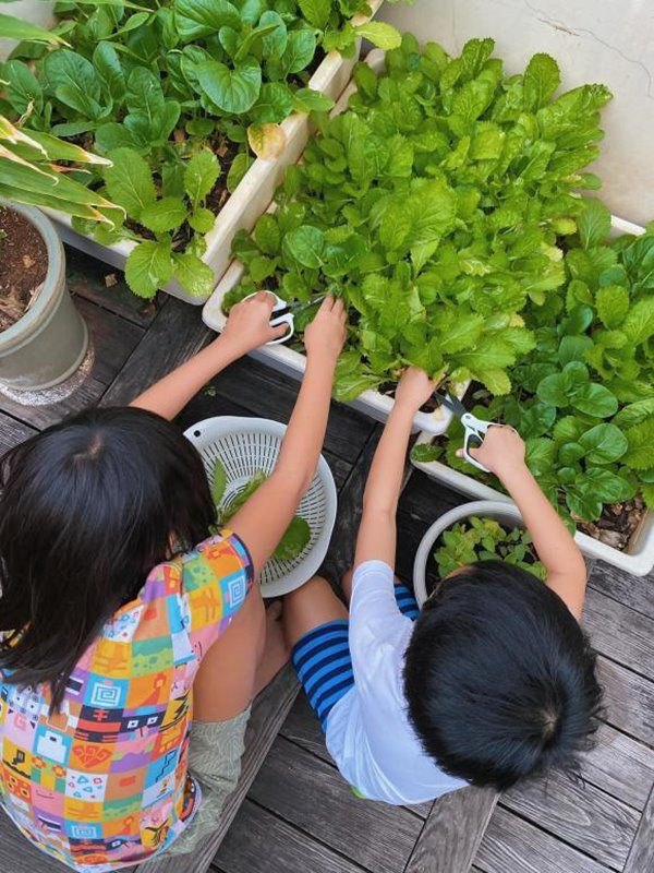 Tăng Thanh Hà lượn 1 vòng quanh biệt thự cũng đủ rau ăn cả tuần, không mất một xu - 15