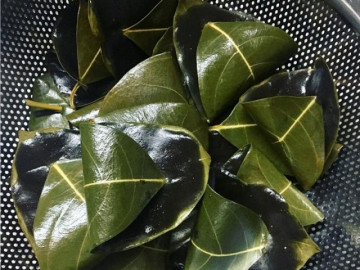 Hái các loại lá mọc đầy trên cây không ai nhòm ngó làm thành đặc sản nức tiếng miền Tây