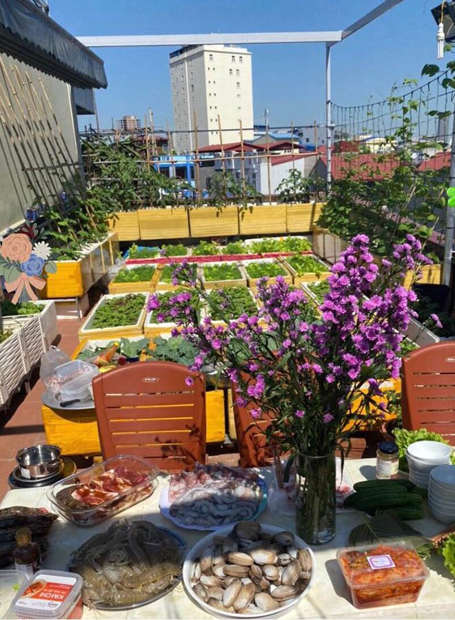 Dỡ nóc nhà làm vườn, mẹ Hải Phòng được 50m2 rau xanh cả gia đình ăn không xuể - 10