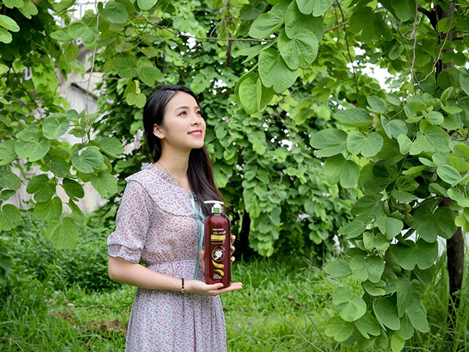 Thương yêu mái tóc hơn với dầu gội dược liệu là sự lựa chọn đang được đông đảo chị em quan tâm