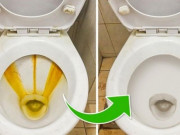 Nhà đẹp - Bồn cầu cáu bẩn cho một thứ này vào, nhiều nhà hàng áp dụng mà không nói cho bạn