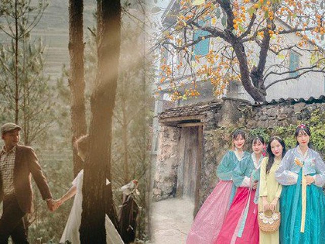 Giới trẻ thích thú check-in đồi thông Đà Lạt, làng quê Hàn Quốc ngay ở Ninh Bình