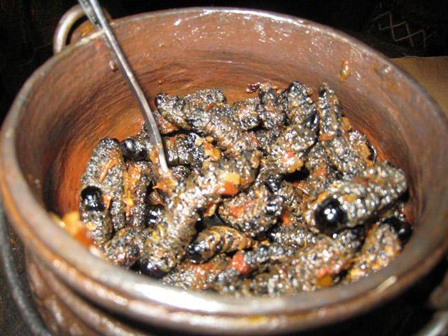 amp;#34;Lộc trờiamp;#34; nhìn đã thấy rùng mình, không ngờ là đặc sản đắt hơn tôm hùm, 14 triệu đồng/kg - 6