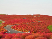 Xem ăn chơi - Những địa điểm kì lạ trên thế giới, ai cũng muốn ghé thăm một lần trong đời