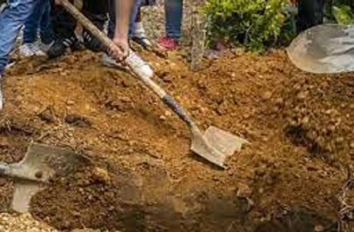 Người đàn ông tuyên bố thấy trước tương lai, nhờ vợ chôn sống để bất tử và cái kết - 1