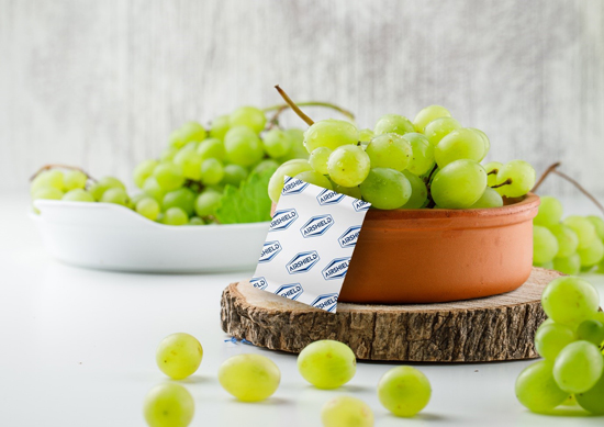 Giải pháp tăng thời gian bảo quản cho lưu thông hàng nông sản bằng cách quản lý vi sinh vật - 1